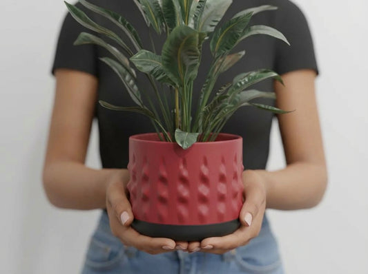 Dimple Planter with Drip Tray